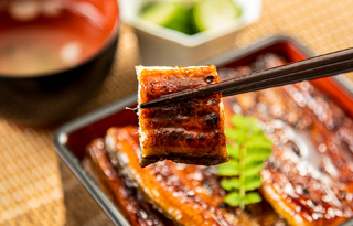 美味しさそのまま急速冷凍